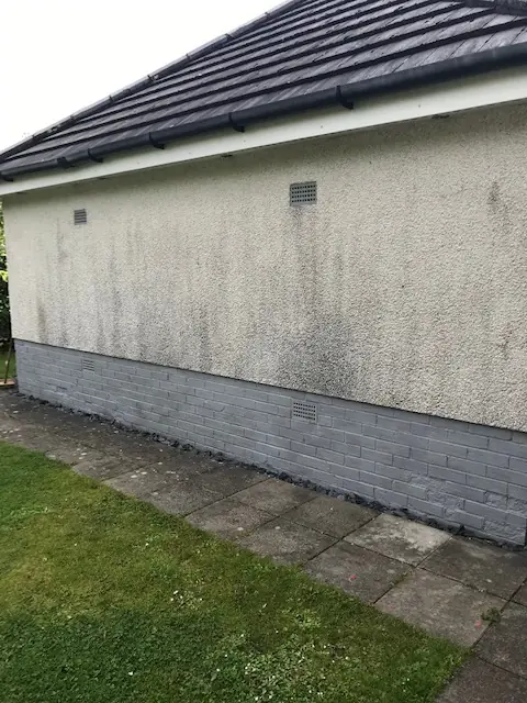 Garage wall before cleaning