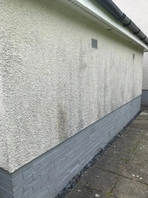 Garage side wall before cleaning