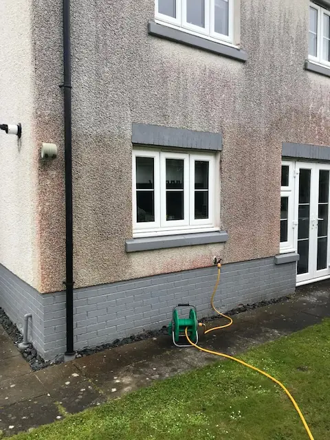 Back wall and doors before cleaning